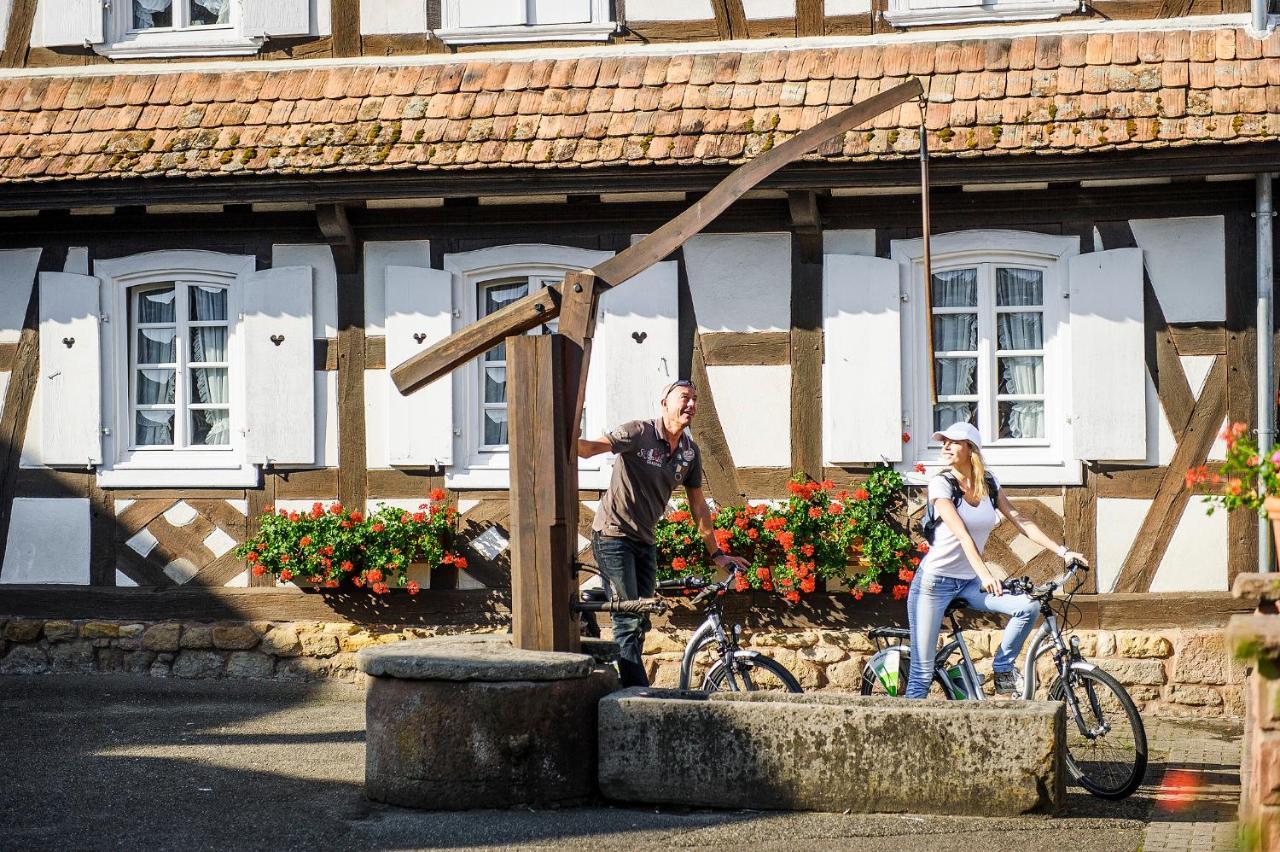 Gites Et Chambres D'Hotes Maison Ungerer Hunspach Экстерьер фото