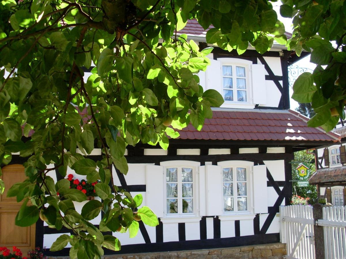 Gites Et Chambres D'Hotes Maison Ungerer Hunspach Экстерьер фото